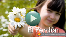 Ver Video