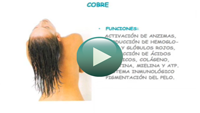 Ver Video